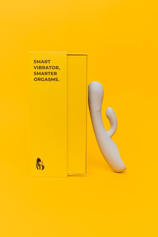 Der Lioness Smart Vibrator 2.0 - Grau