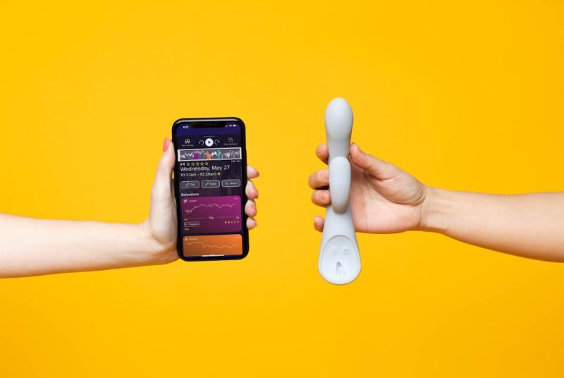 Der Lioness Smart Vibrator 2.0 - Grau