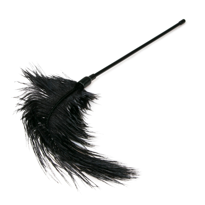 EasyToys »Feder« Tickler