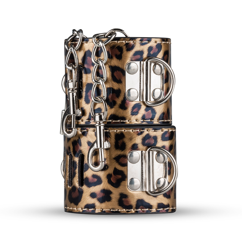 Secret Pleasure Chest »Wicked Wildcat« BDSM Set