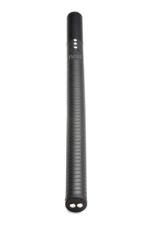 E-Stim Schlagstock