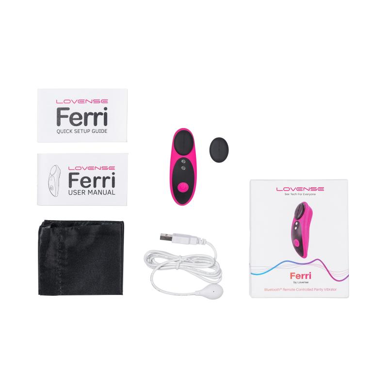 Lovense »Ferry« Slip-Vibrator mit App