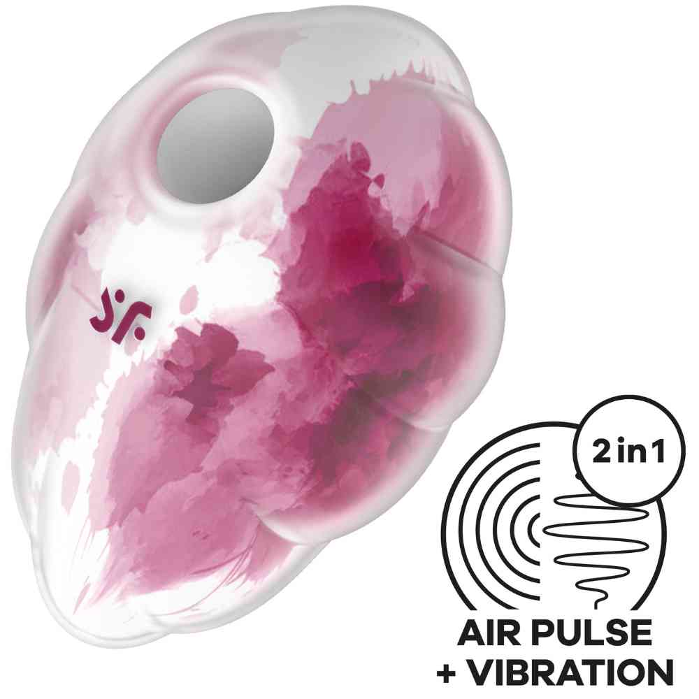 Air Pulse Vibrator 
