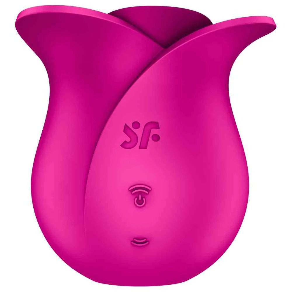 Air Pulse Vibrator 