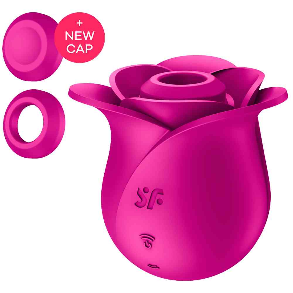 Air Pulse Vibrator 