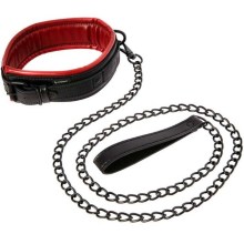 Leine und Halsband aus veganem Leder Leine und Halsband aus veganem Leder