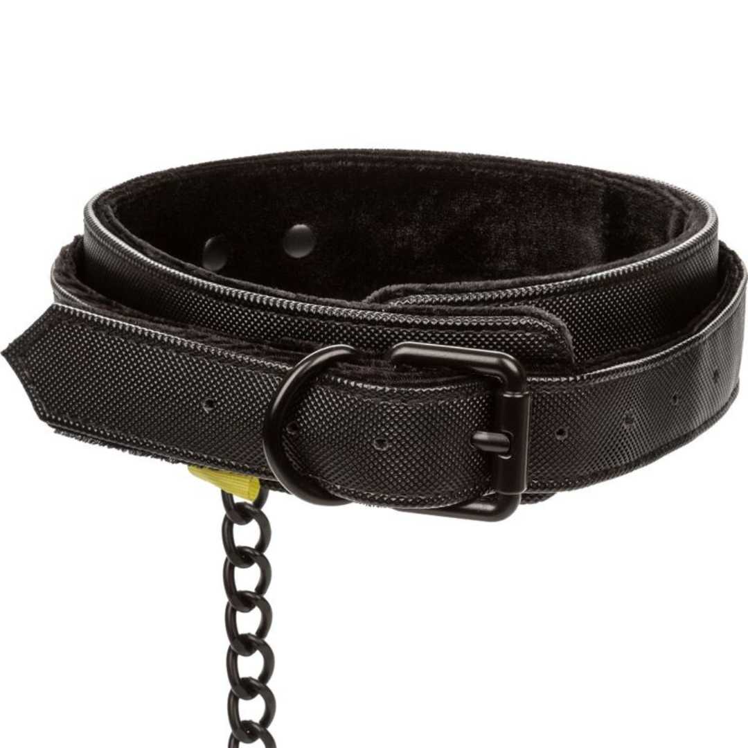 Robustes Halsband mit Metall-Leine
