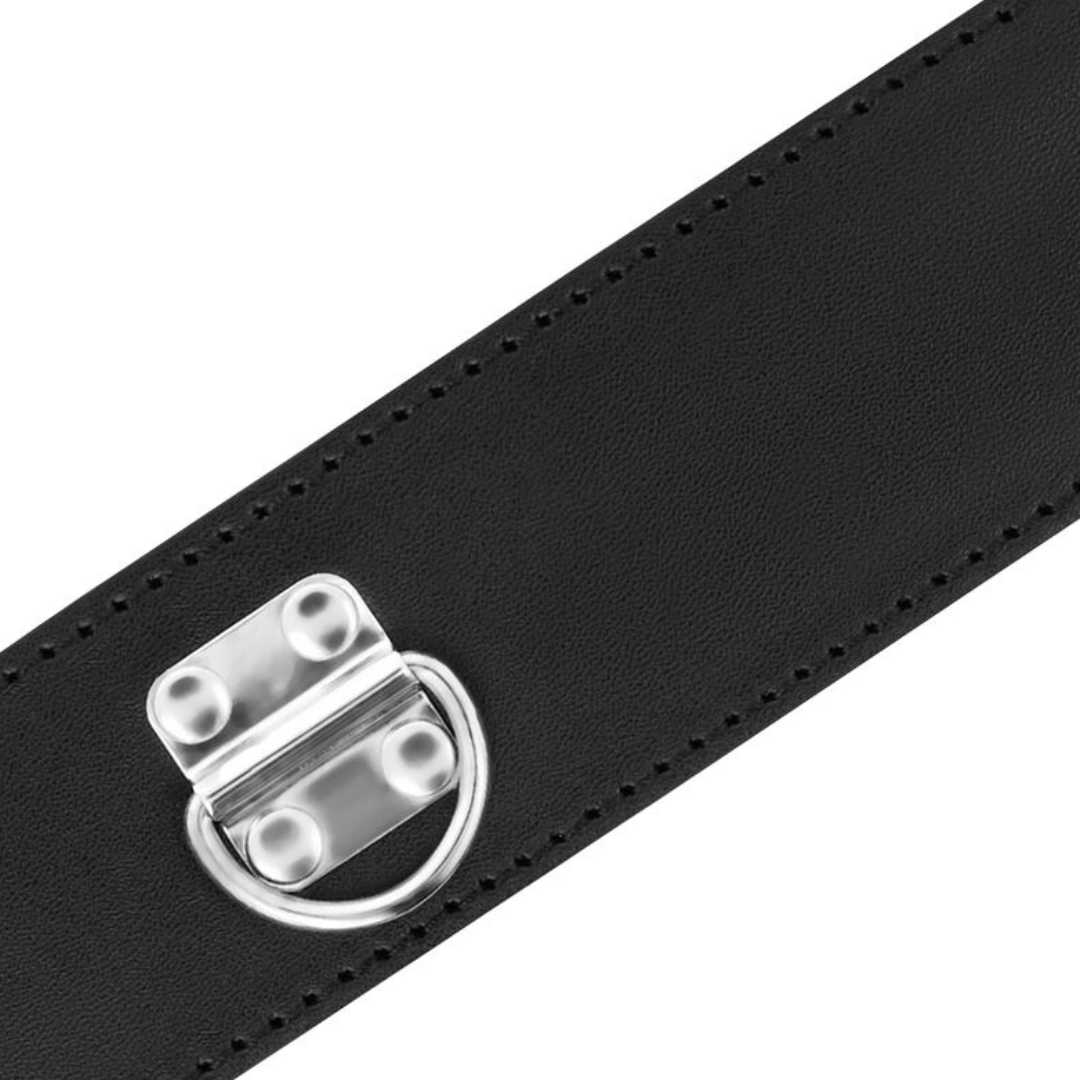 Halsband mit Schloss und Leine