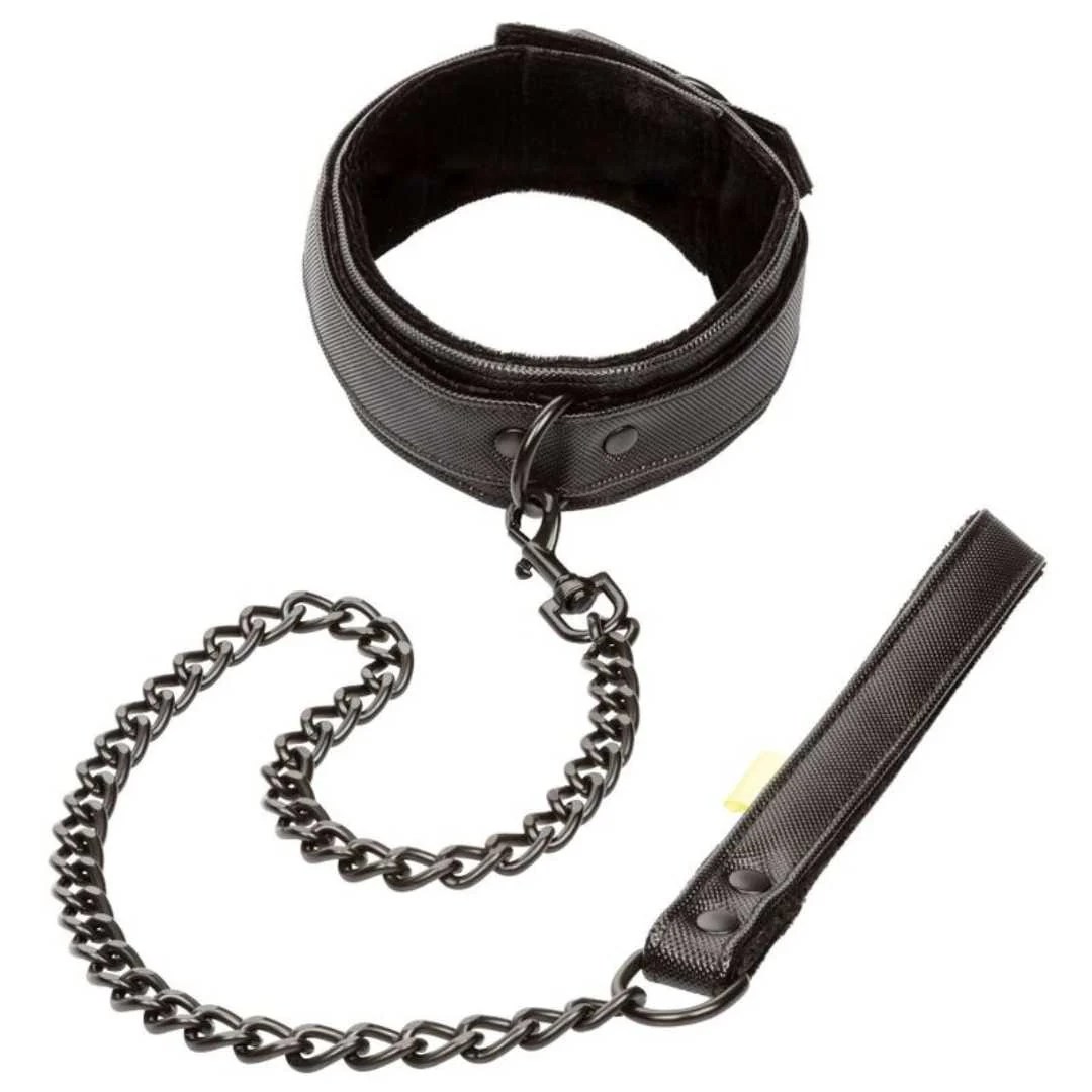 Robustes Halsband mit Metall-Leine