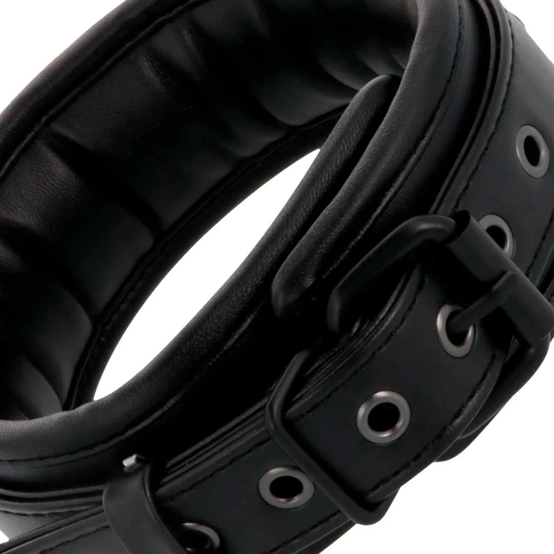 Schlichtes Halsband mit Leine