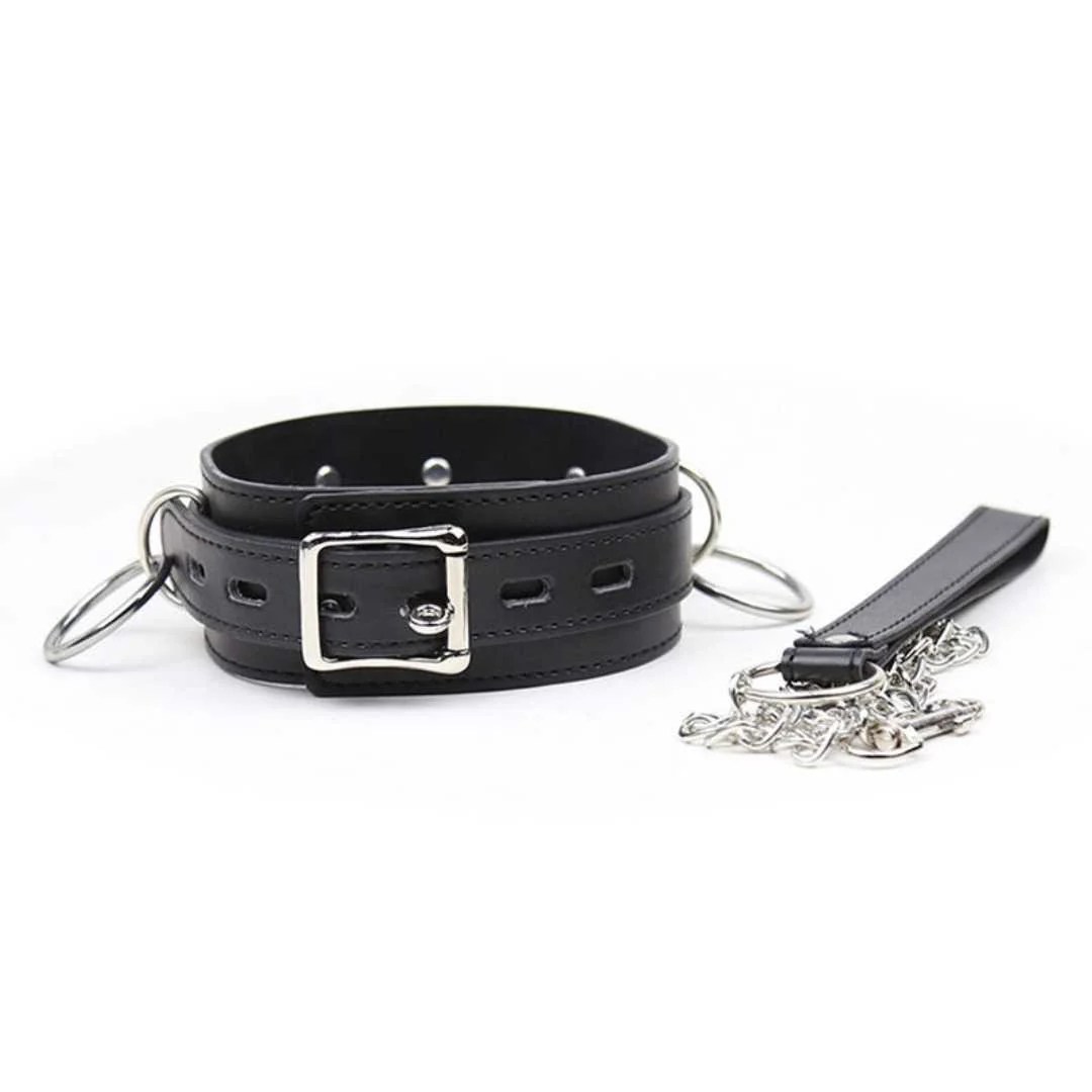 Halsfessel mit D-Ringen und Leine