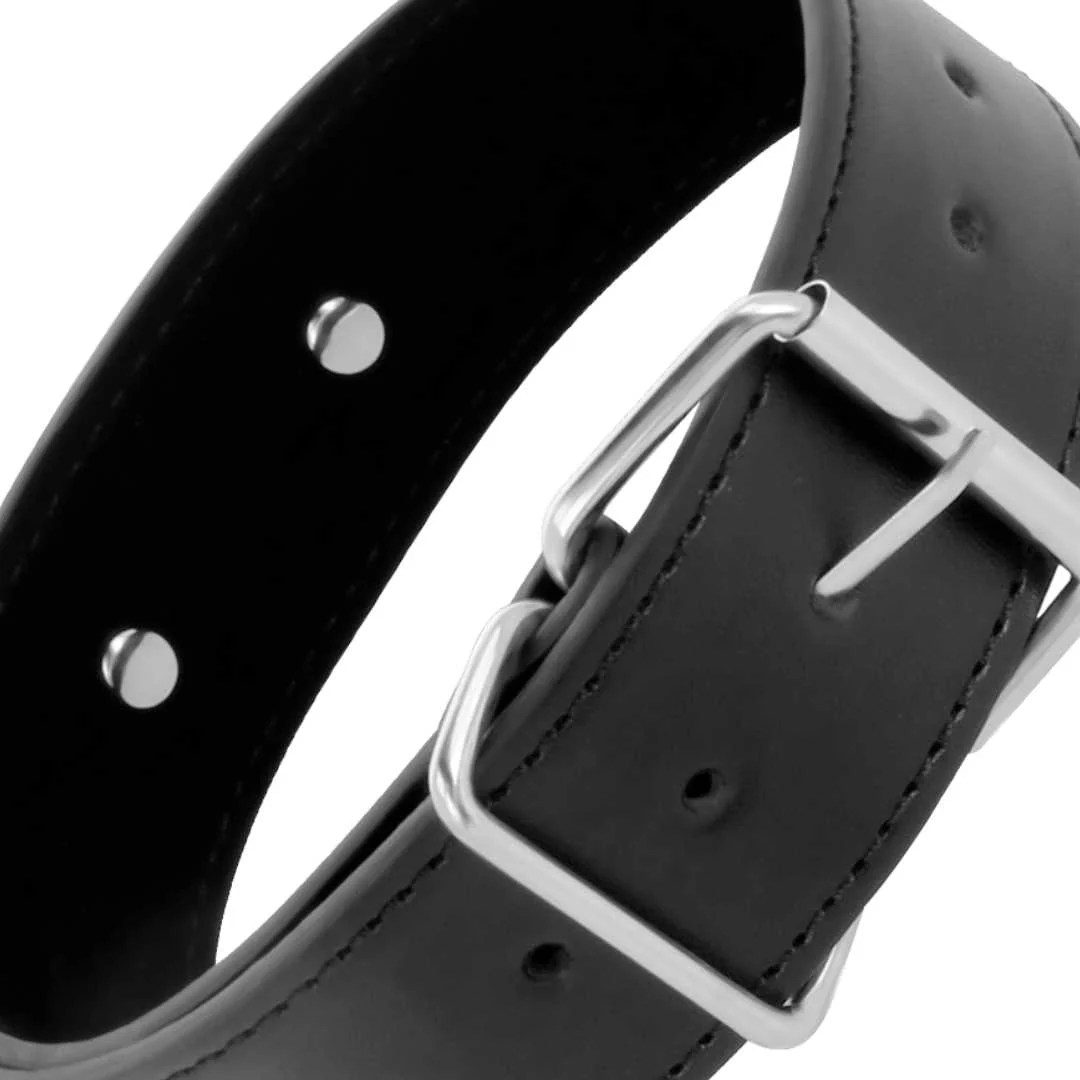 Breites Halsband mit Leine 