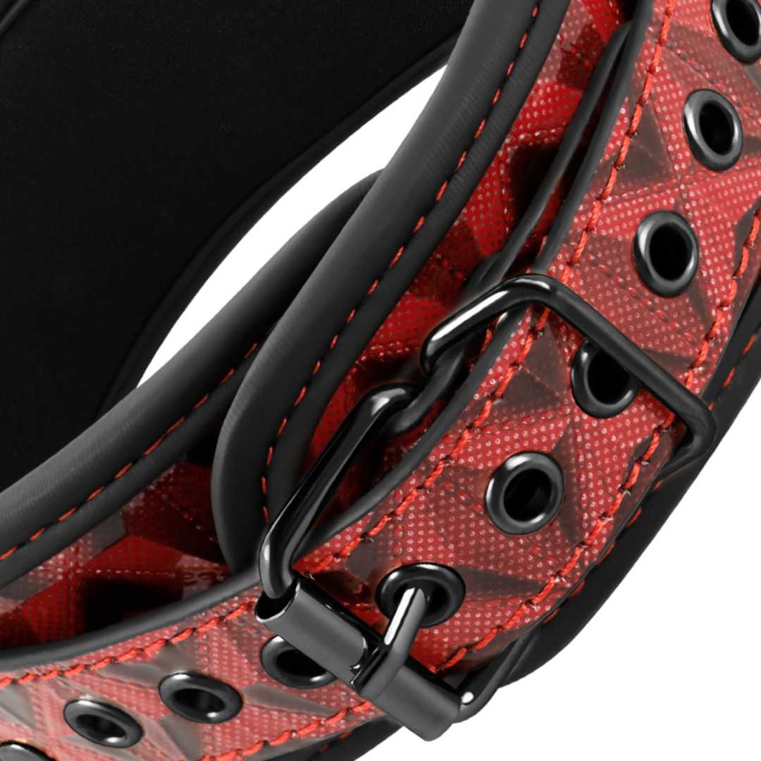 Rot-Schwarze Halsfessel mit Metall-Leine