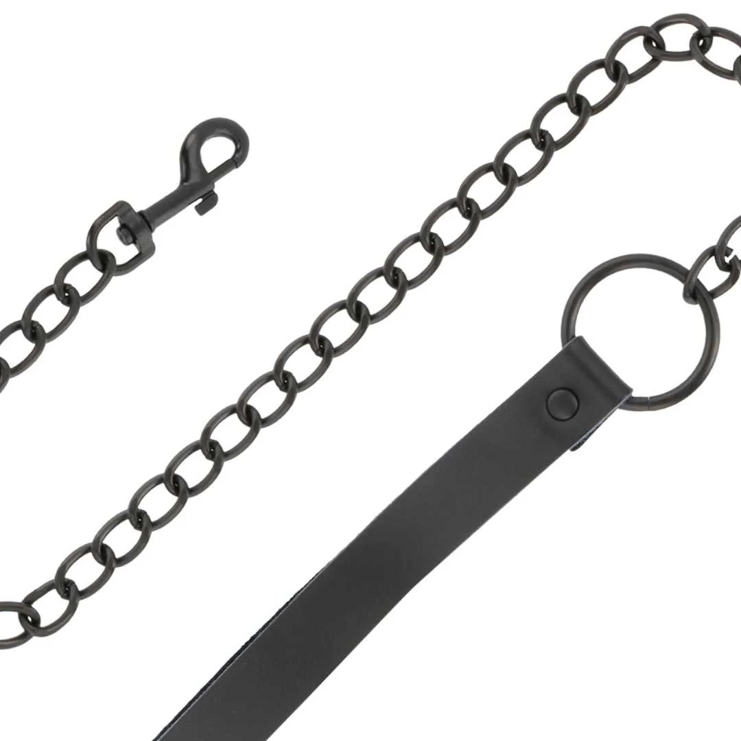 Schlichtes Halsband mit Leine