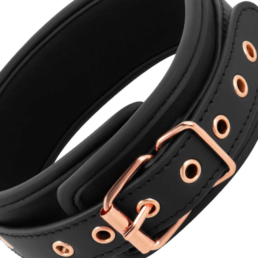 Halsfessel mit Leine und Gold-Details