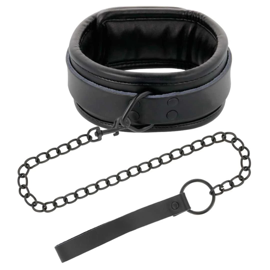 Schlichtes Halsband mit Leine