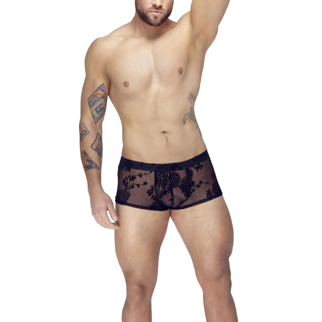 Pants mit Paradies-Samtflockprint