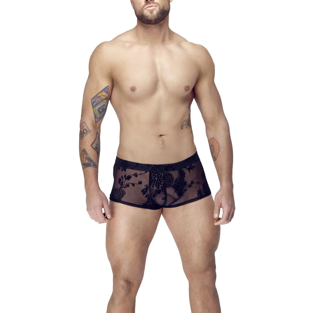Pants mit Paradies-Samtflockprint