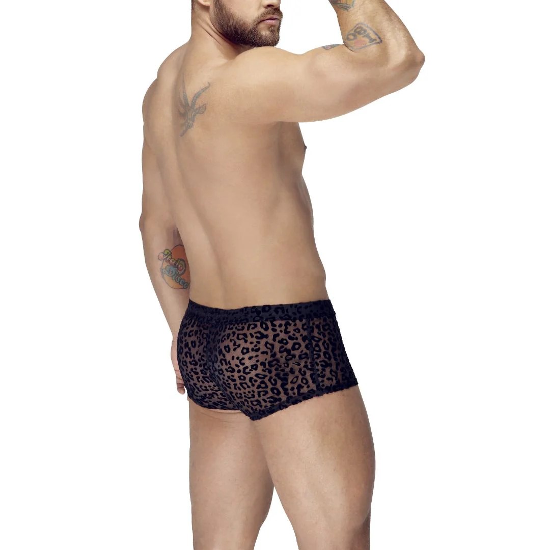 Pants aus Powernet mit Leo-Samtflockprint