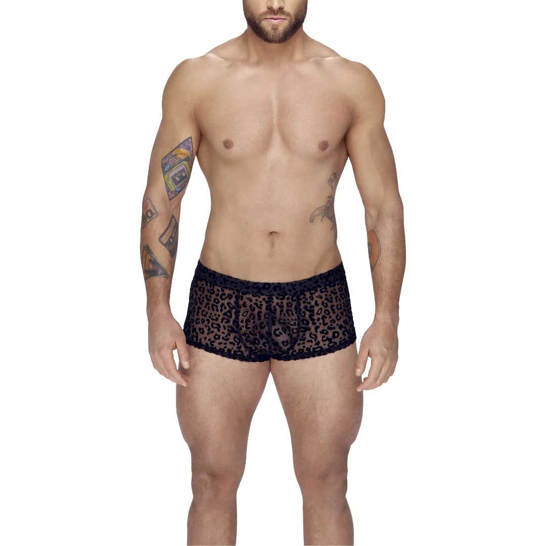 Pants aus Powernet mit Leo-Samtflockprint