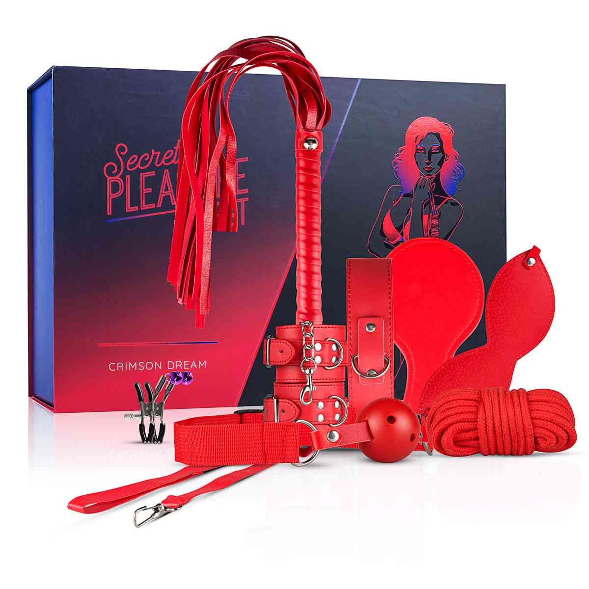 Geschenkbox 