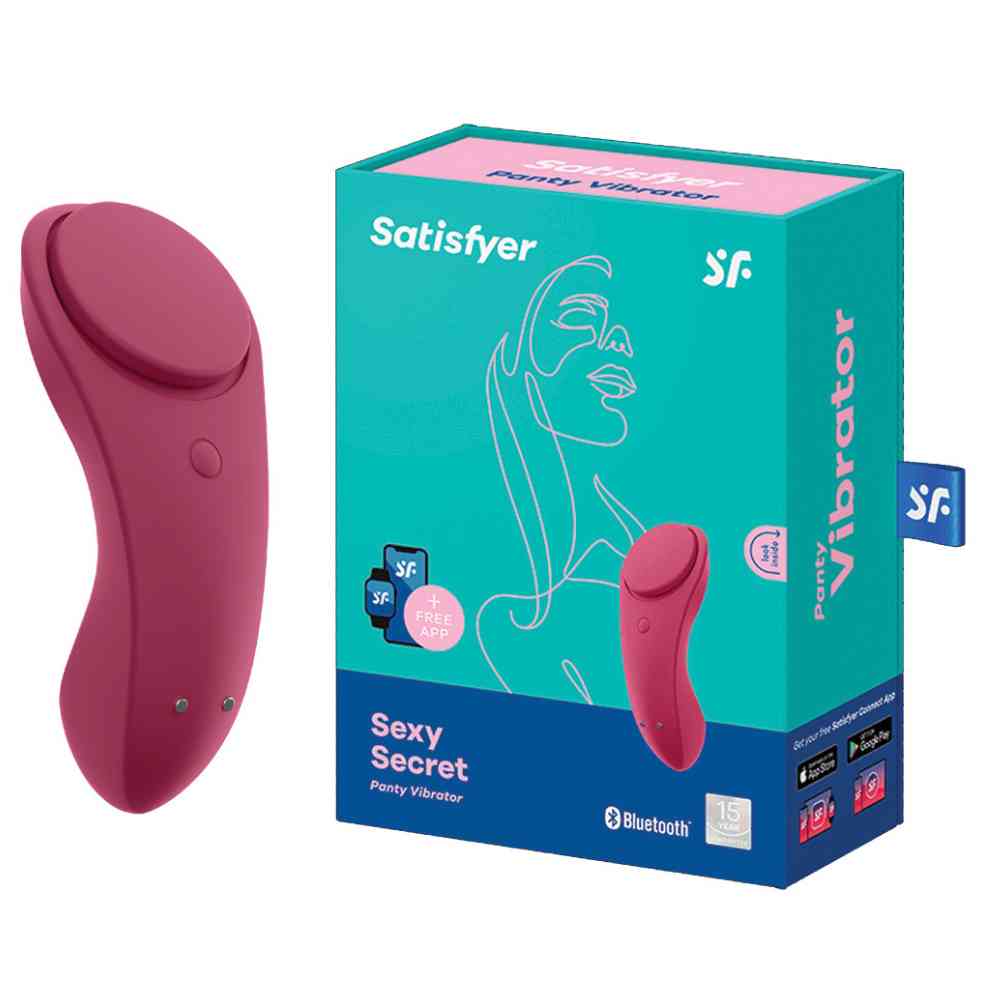 Vibrator 