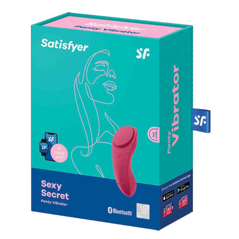 Vibrator 