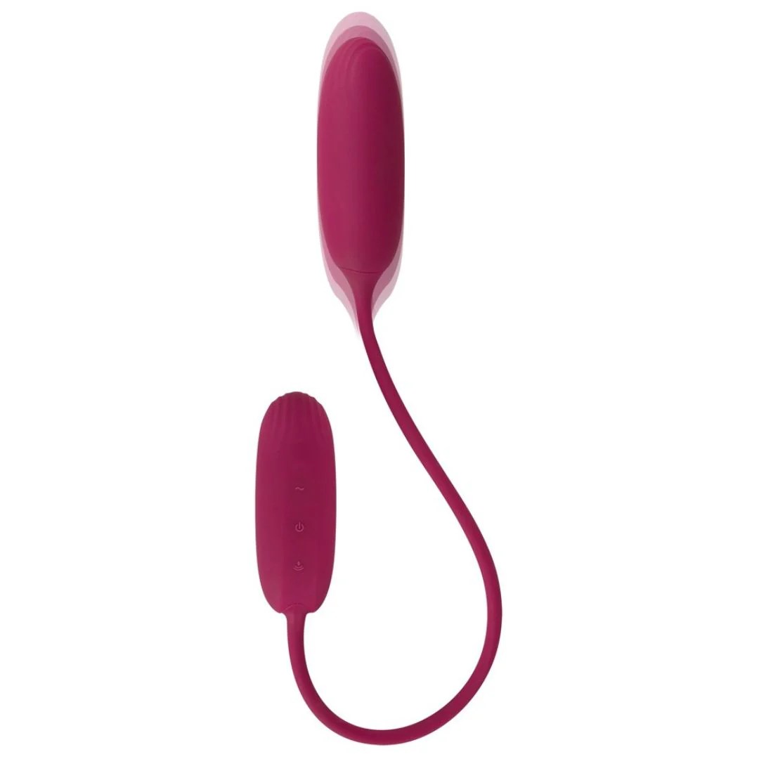 Vibro-Ei „RC Shaking & Vibrating Love Egg Duo“