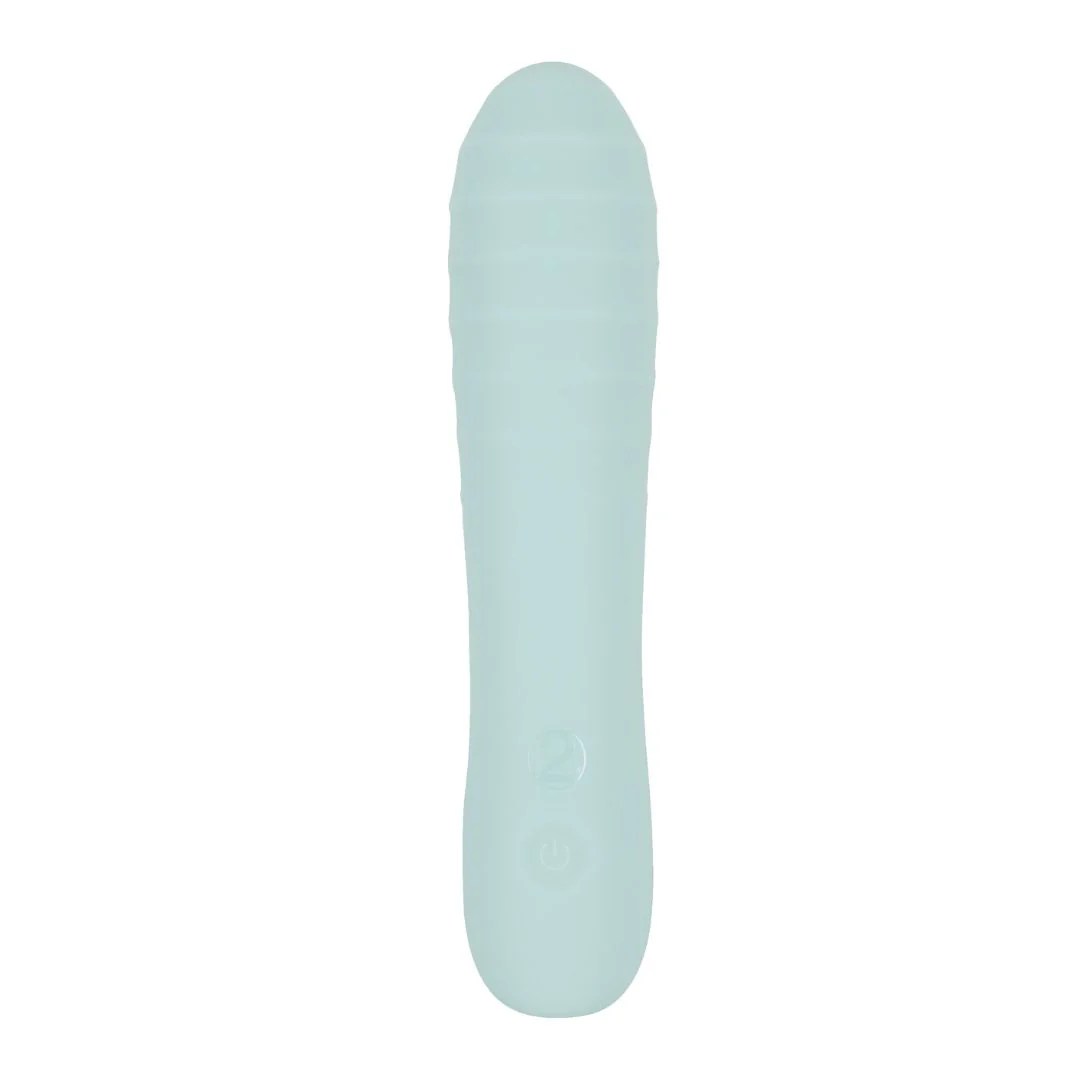 Dildo-Vibrator „Straight Vibrator“
