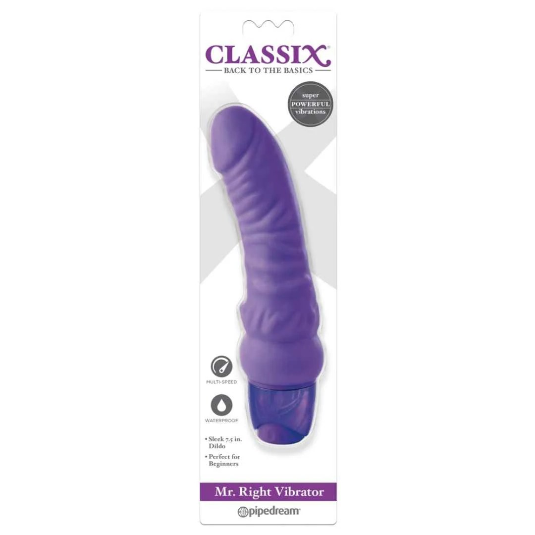 Vibrator „Mr. Right“