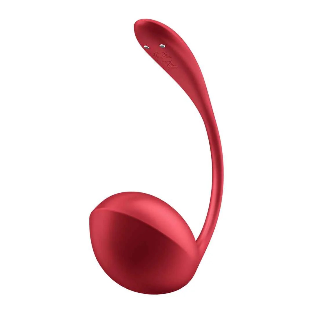 Vibro-Ei 