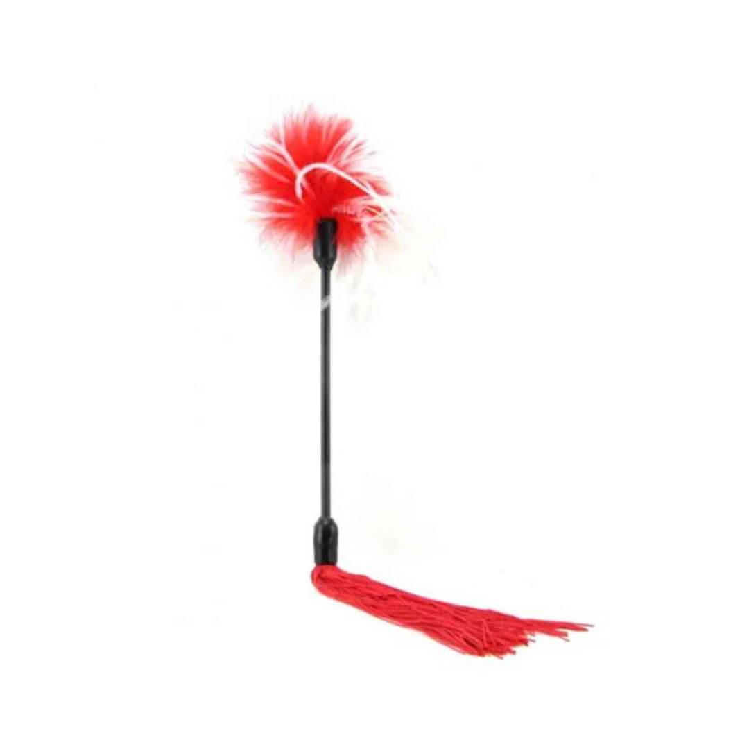 2in1 Peitsche und Tickler