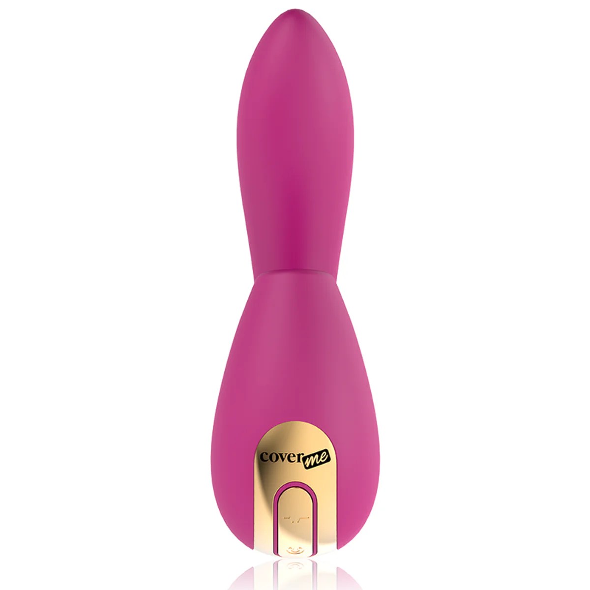 Druckwellenvibrator 