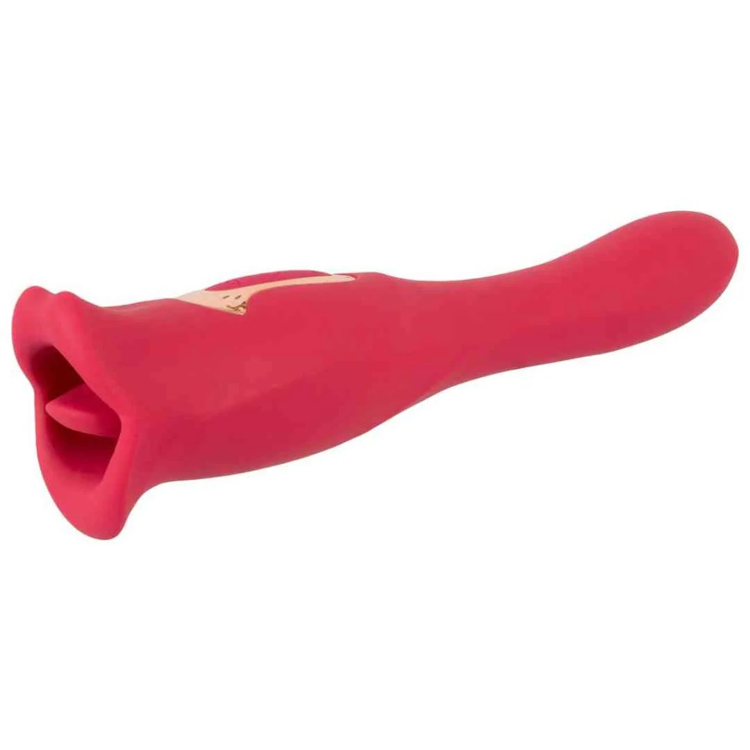 Vibrator 