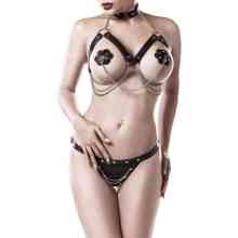 Harness-Ketten-Set mit D-Ring Halsband Harness-Ketten-Set mit D-Ring Halsband