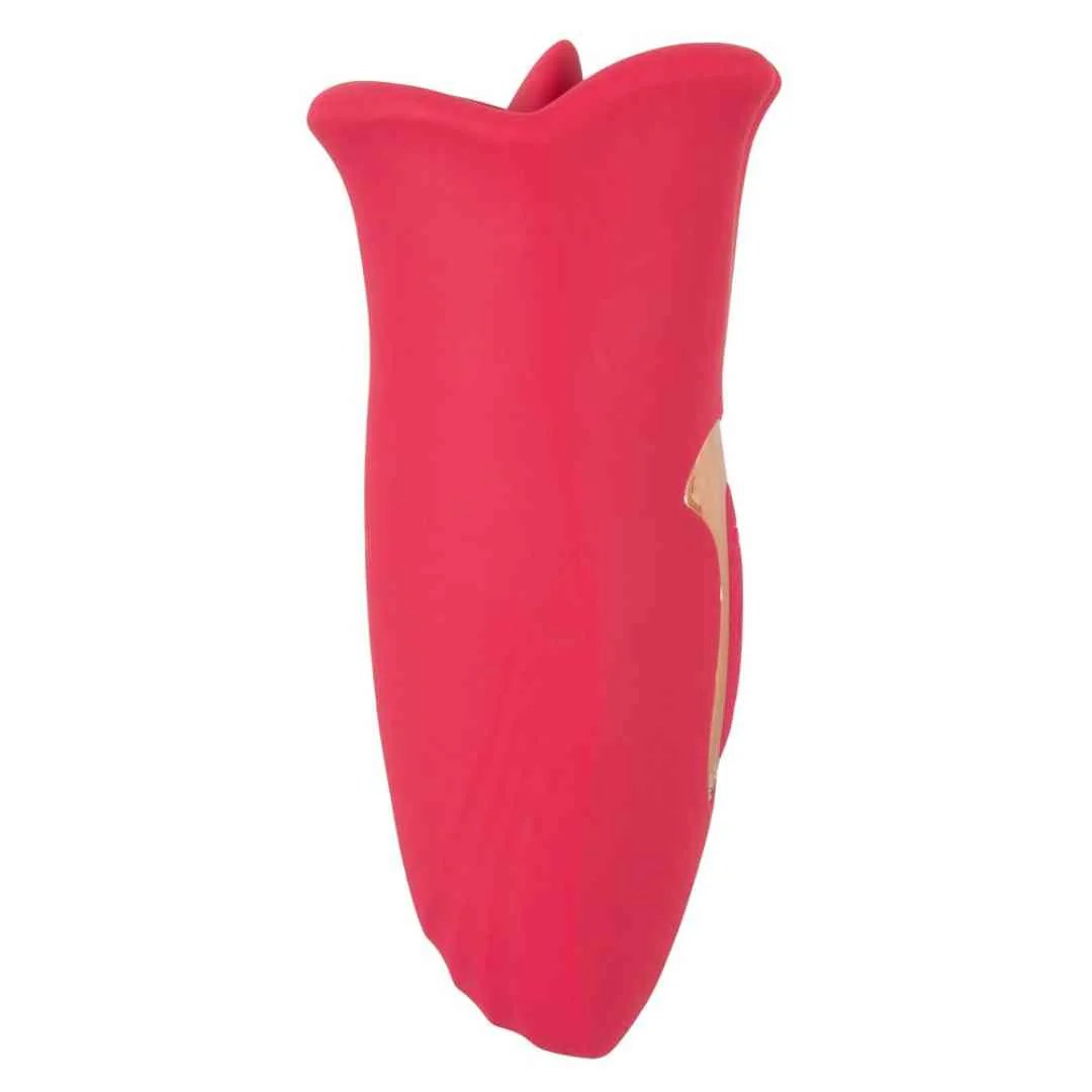 Auflegevibrator 