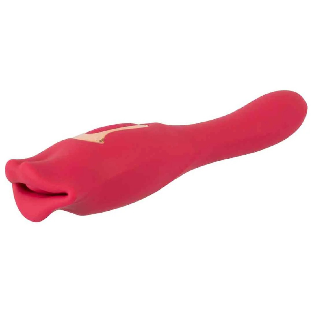 Vibrator 