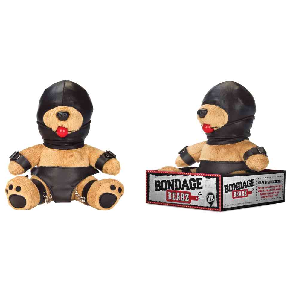 BDSM Teddy 