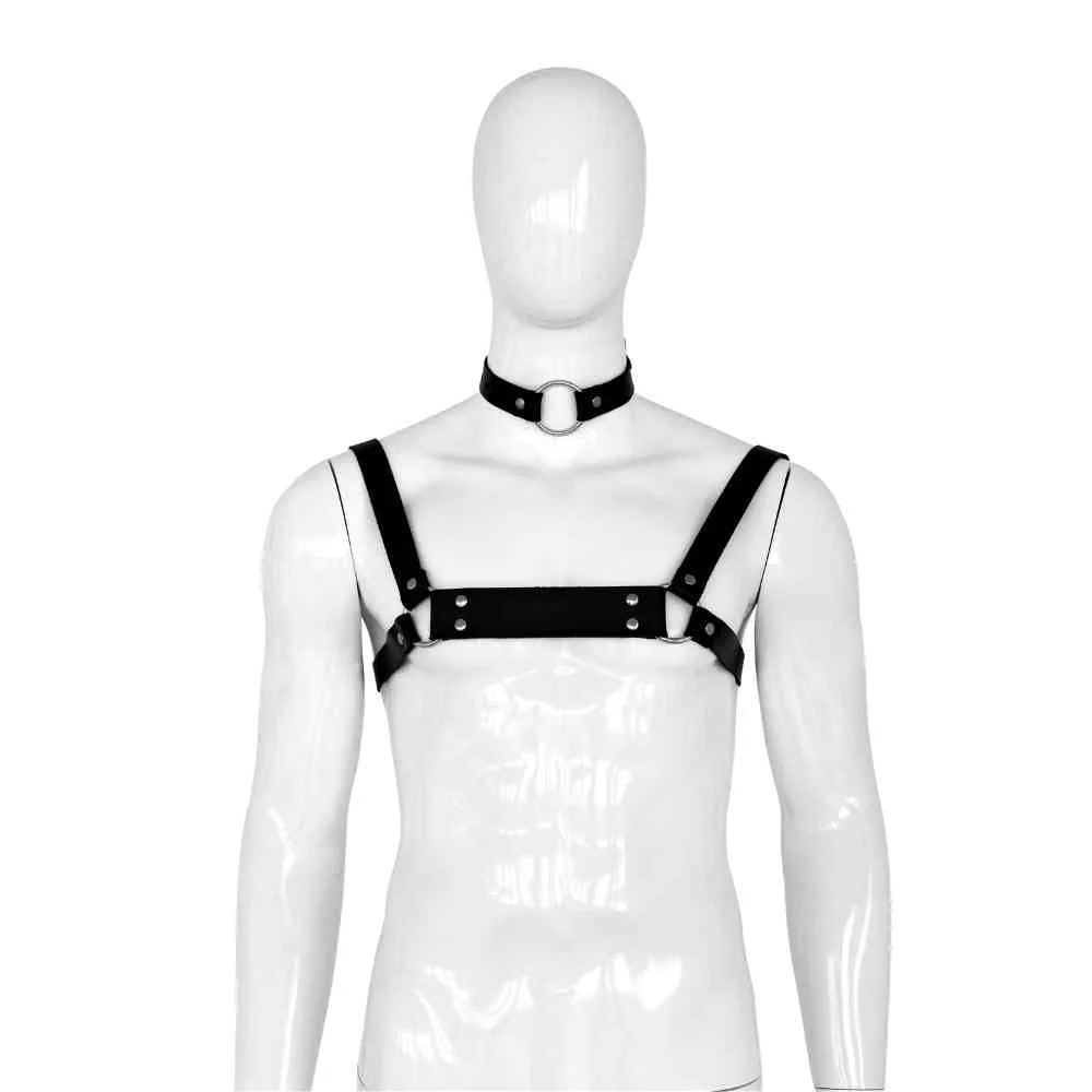 Harness "2 ways"