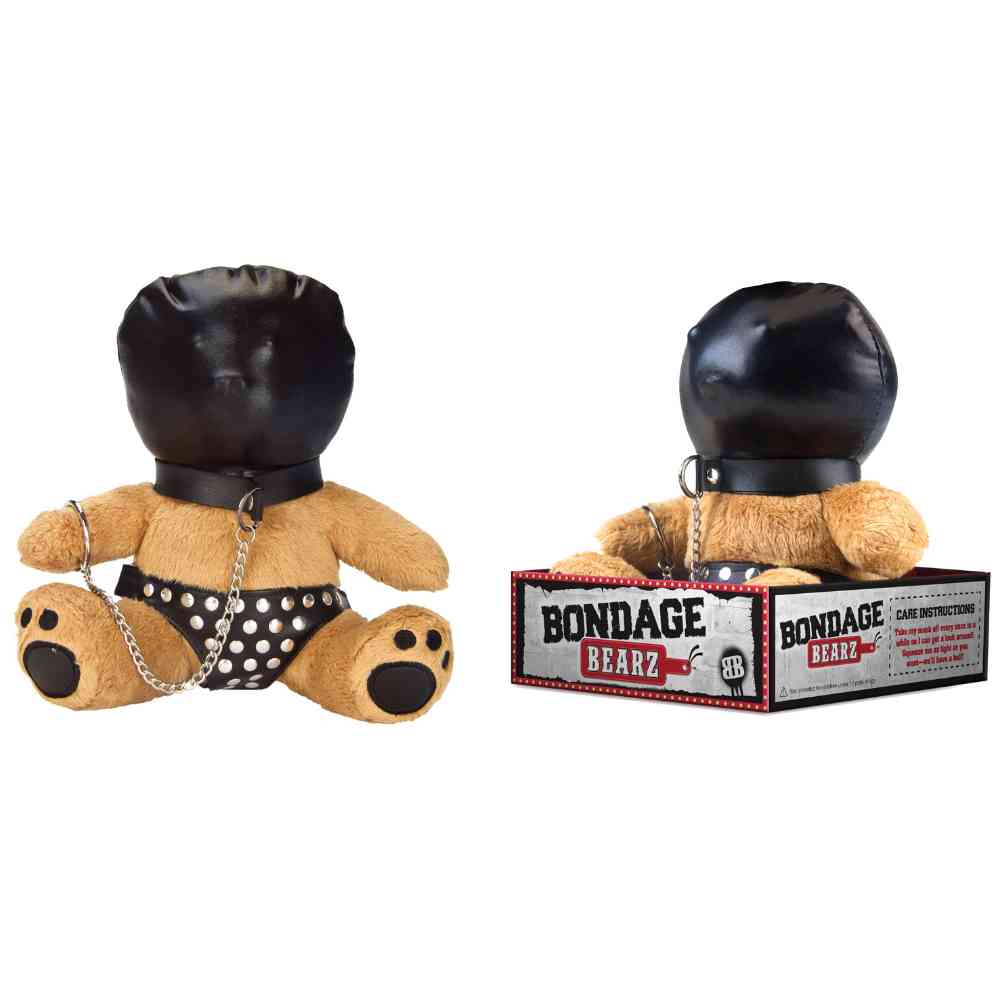 BDSM Teddy 