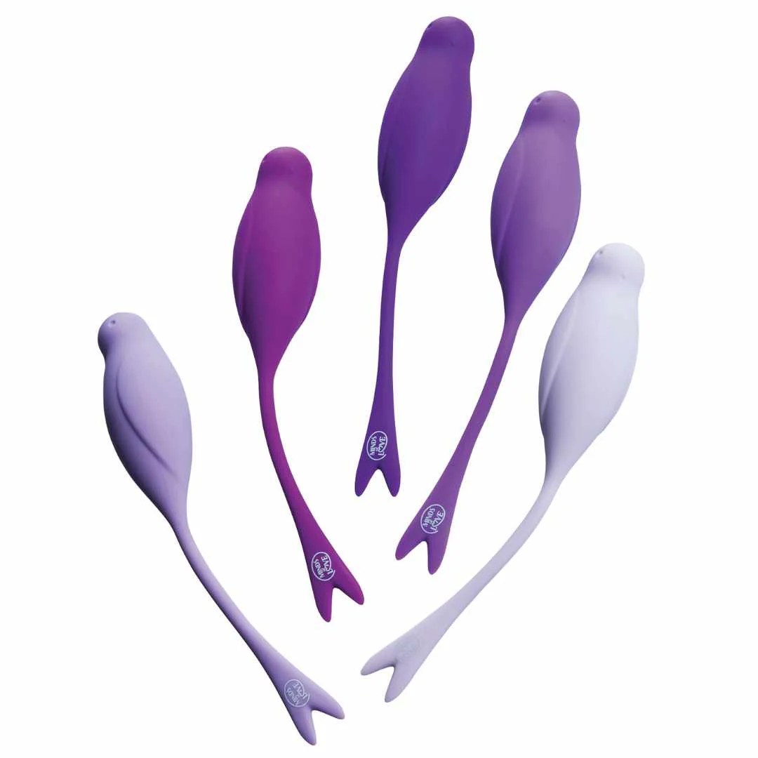 Liebeskugeln "TrainBalls Birdie Set"