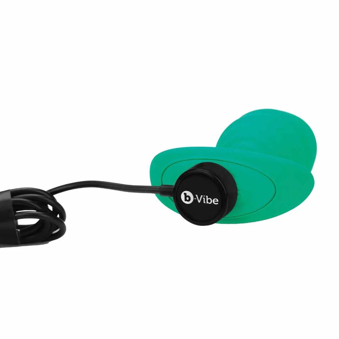 Analvibrator 