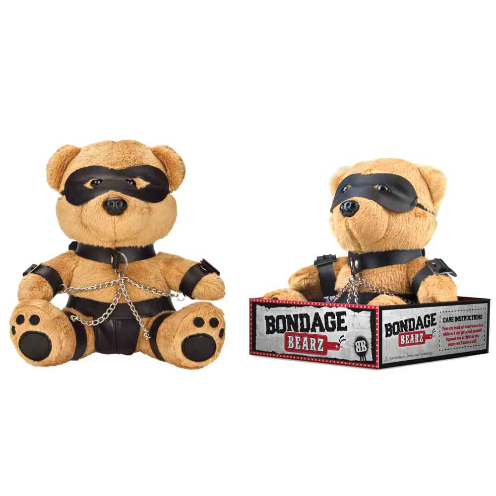 BDSM Teddy 