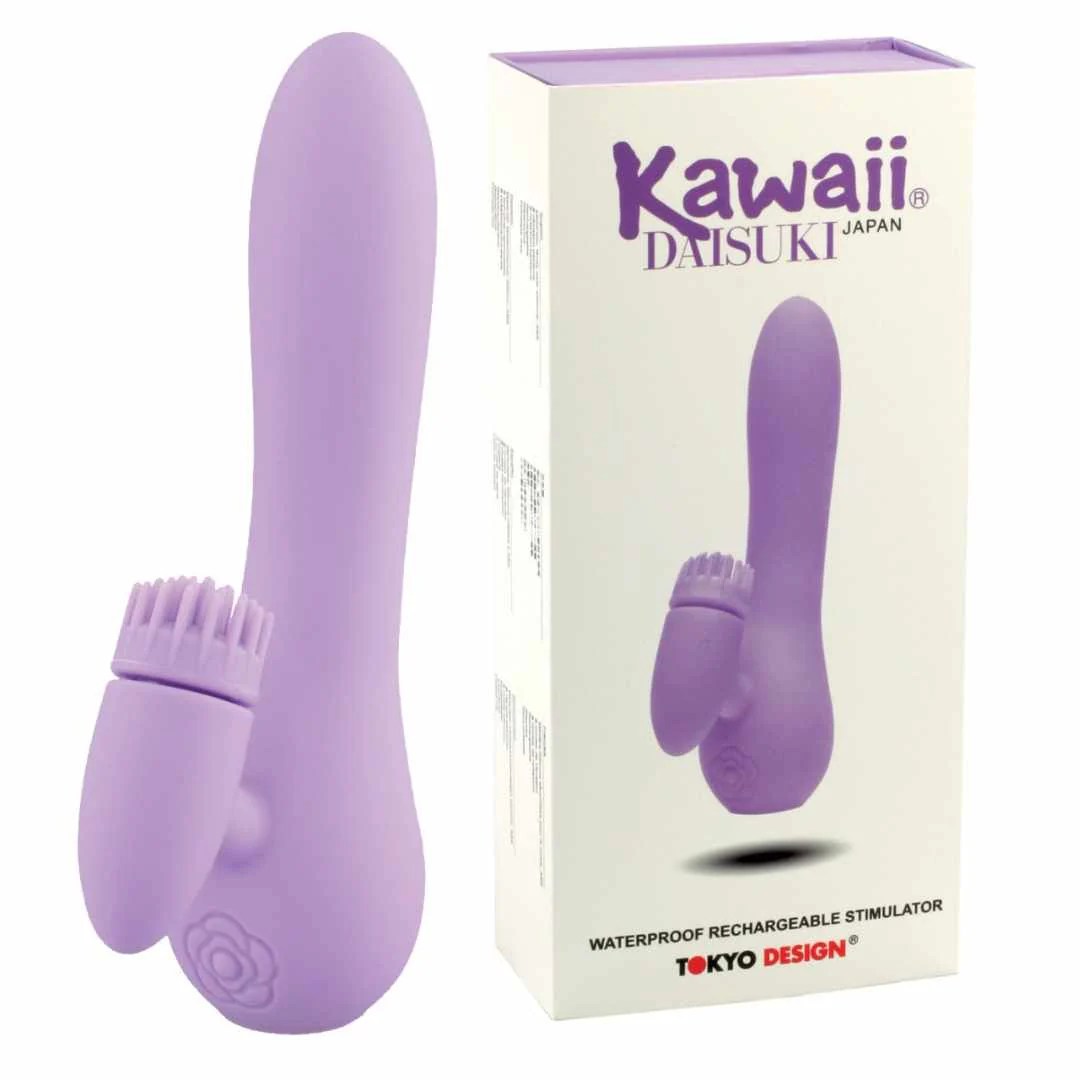 Vibrator 