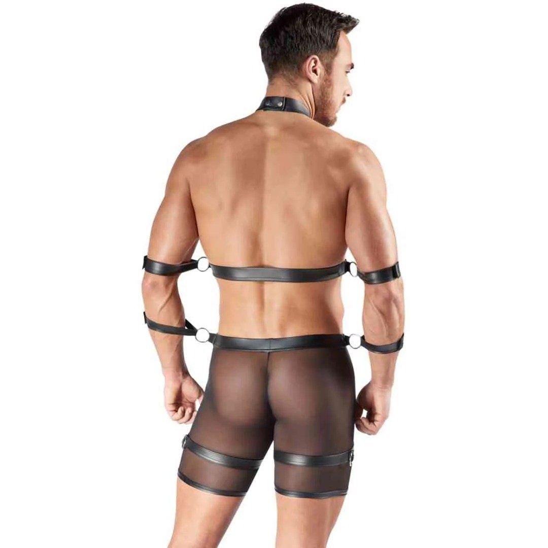 Harness-Pants und Brust-Harness