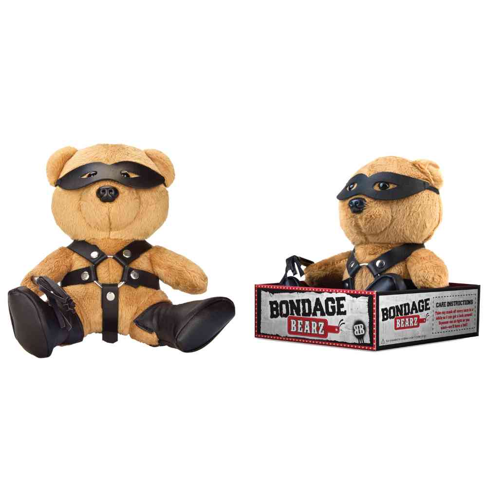 BDSM Teddy 