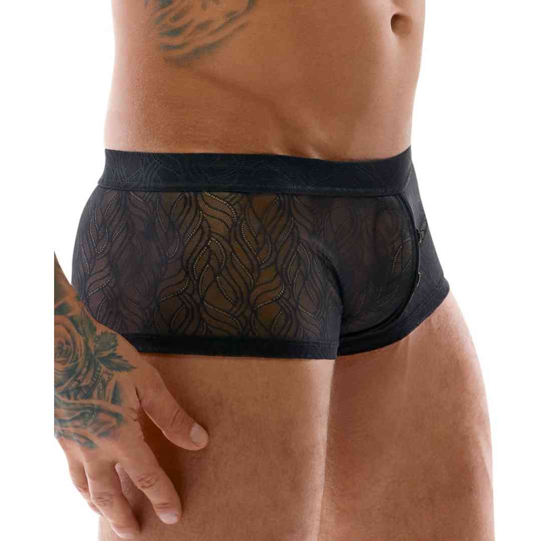 Transparente Pants aus Spitze