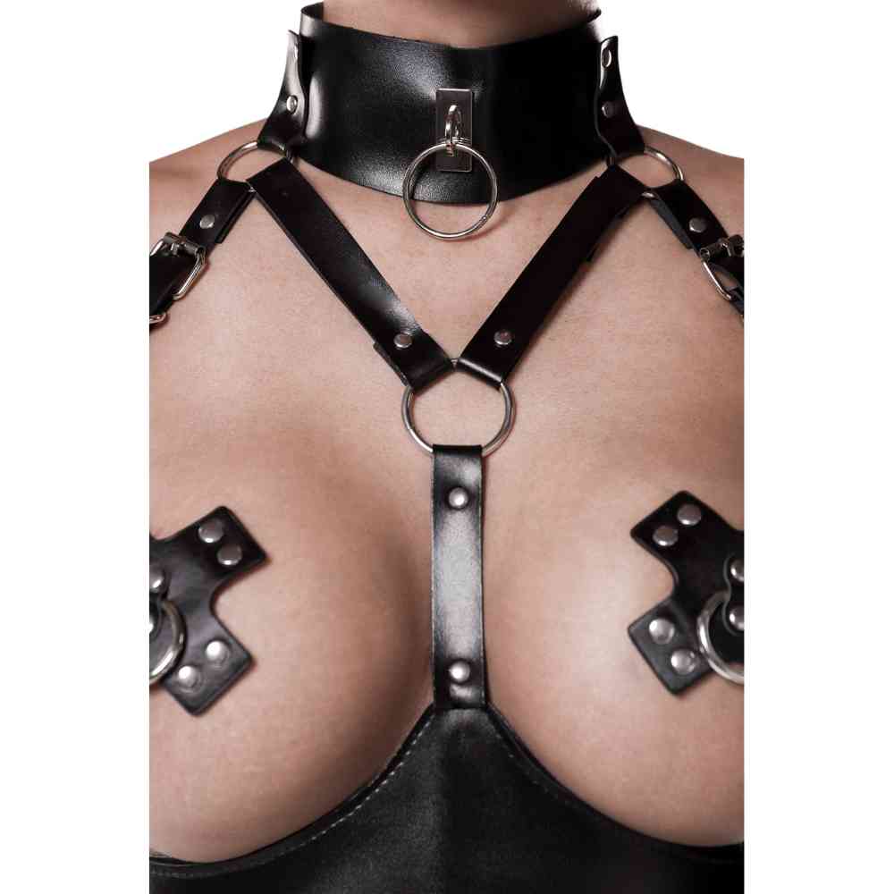 Wetlook Harness-Set mit Nieten
