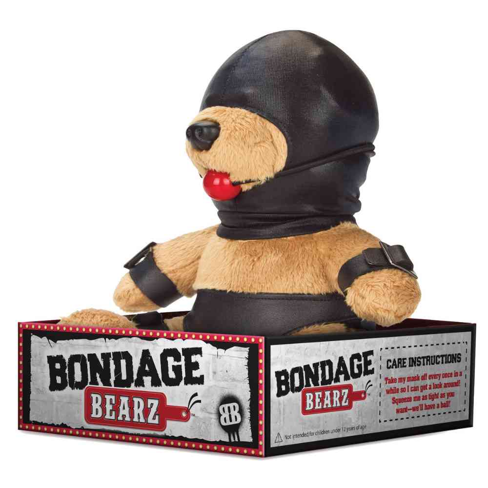 BDSM Teddy 