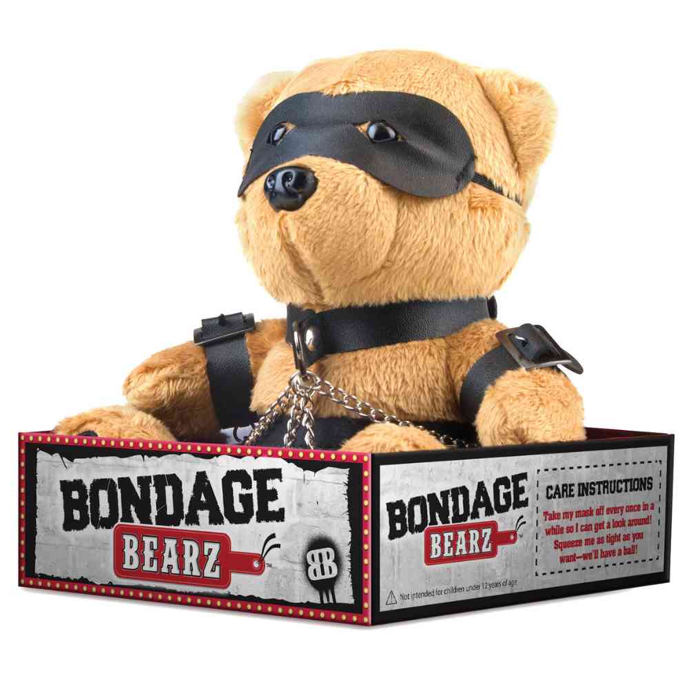 BDSM Teddy 